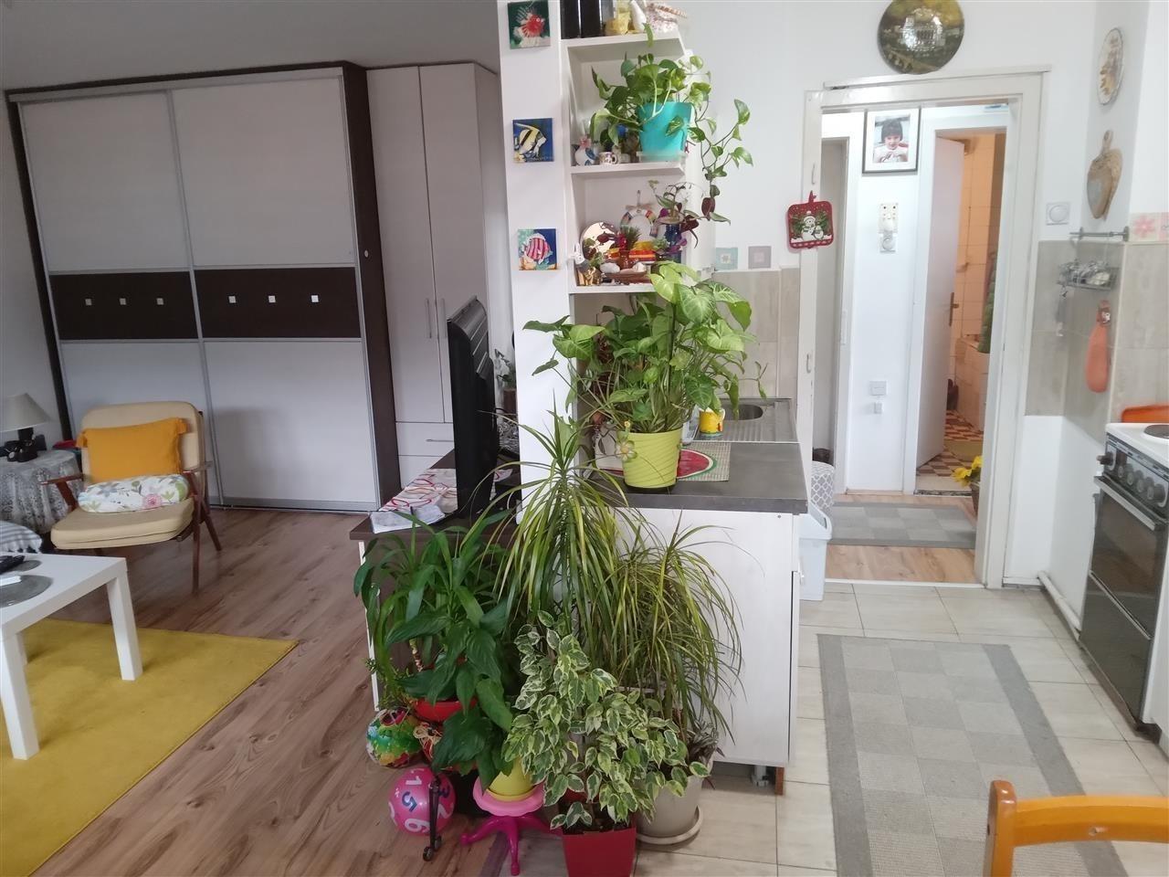 SAVIĆ IS SELLING AN APARTMENT IN KISELA VODA