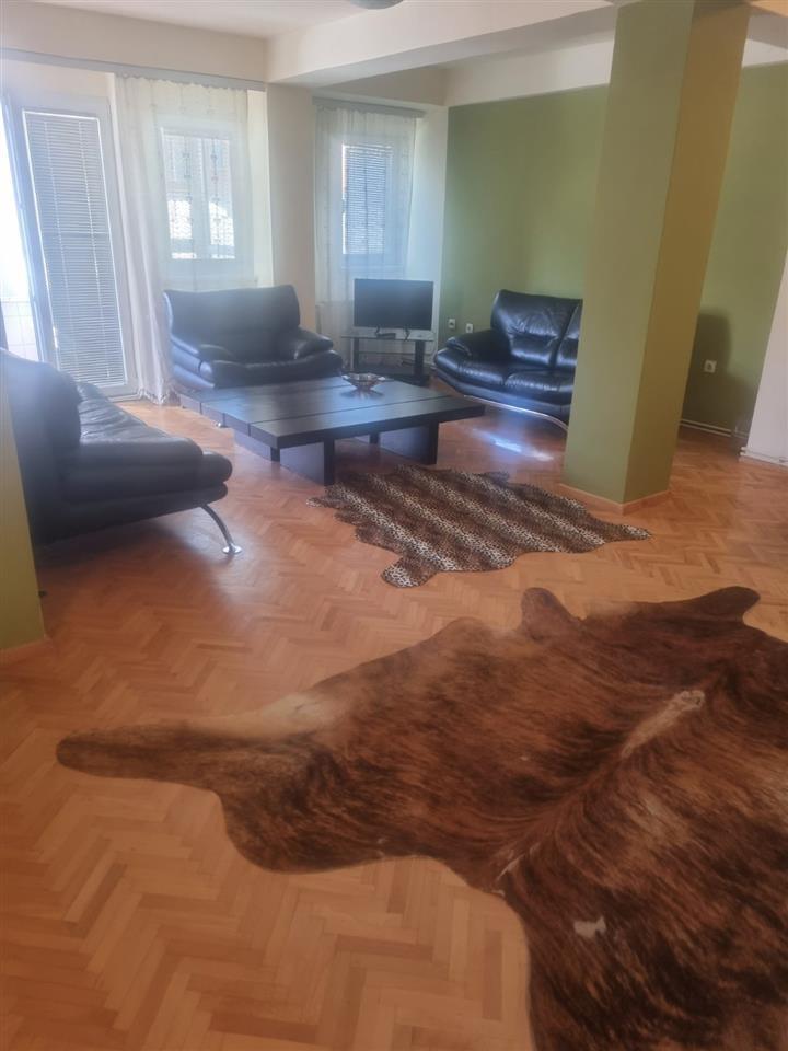 SAVIC IS RENTING AN APARTMENT IN KISELA VODA