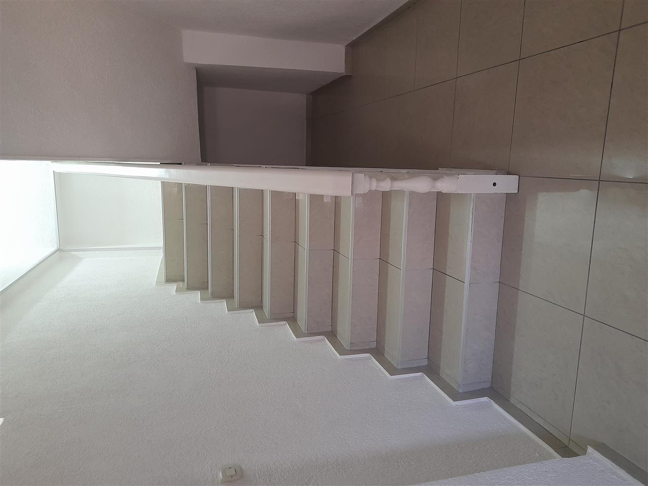 Apartments in the Center for 1000 euros per m2