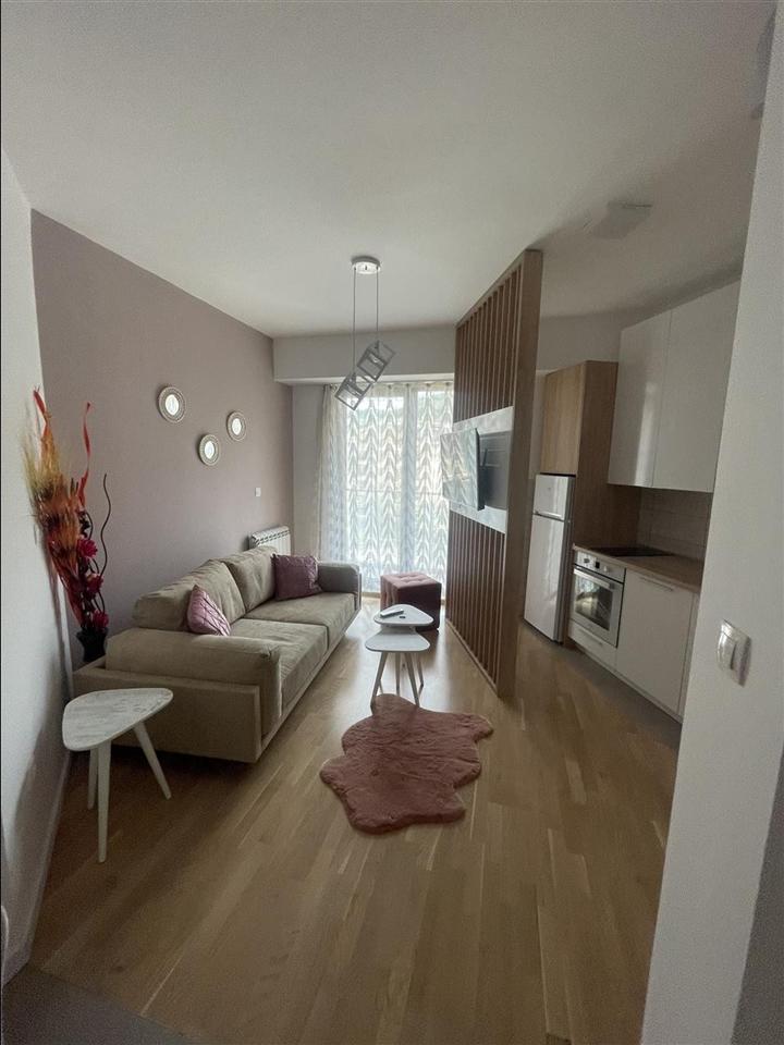 New one-bedroom apartment for rent