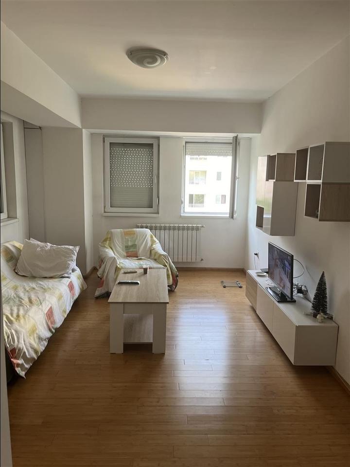 Furnished apartment for rent in Novo Lisice