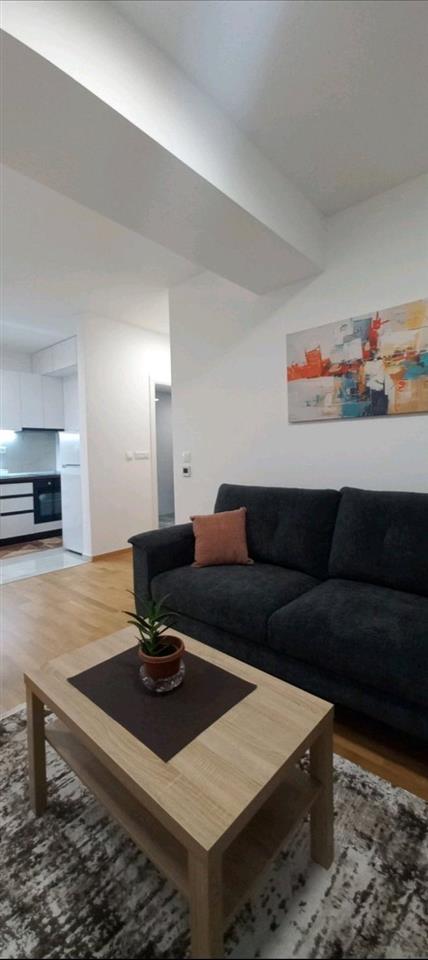 SE IZNAJMUVA NOV DVOSOBEN STAN VO CENTAR, DRZAVNA