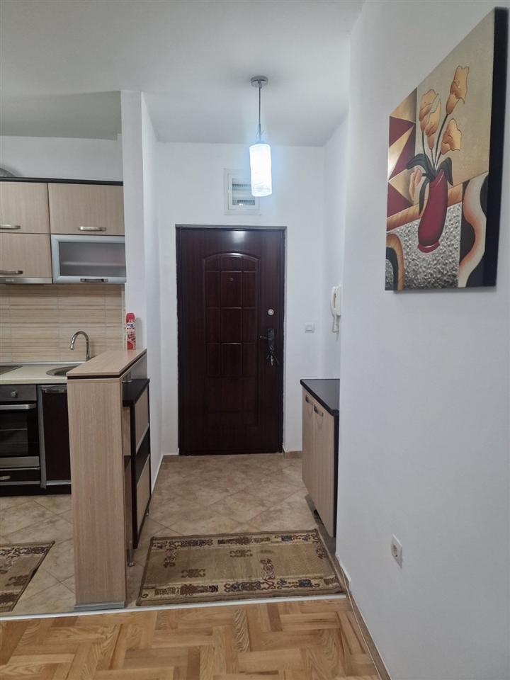 Fully furnished apartment for rent - 53m2 Kisela Voda - Rasadnik
