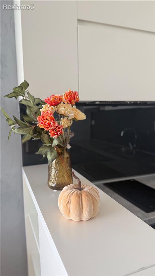 Modern furnished apartment for rent
