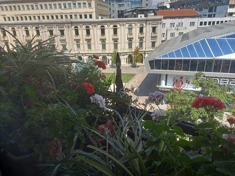 APARTMENT IN STRONG CENTER - PLOSTAD