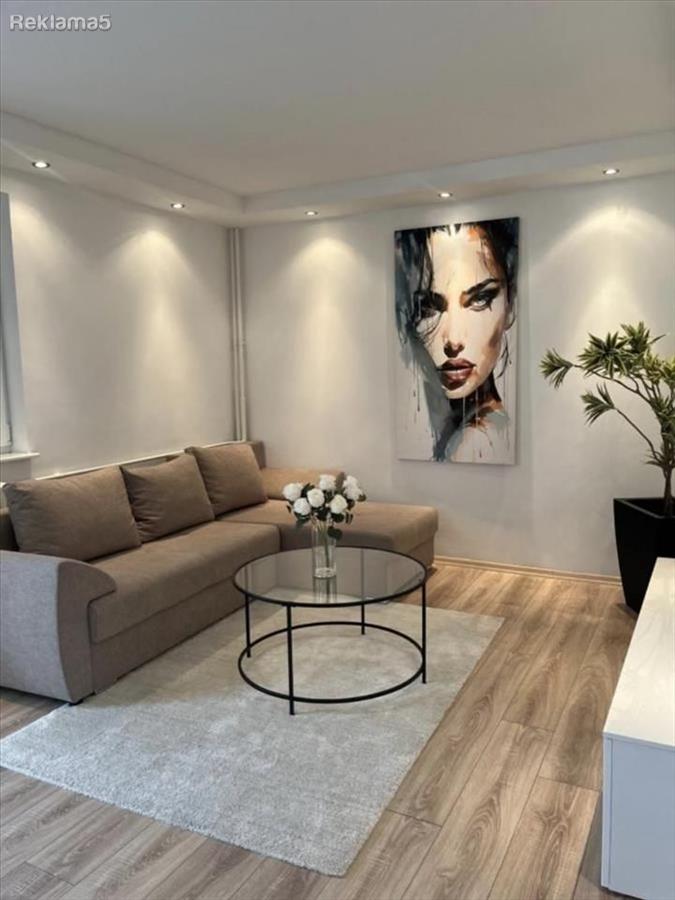 Namesten stan vo strog Centar 45m2 so 1 spalna renoviran