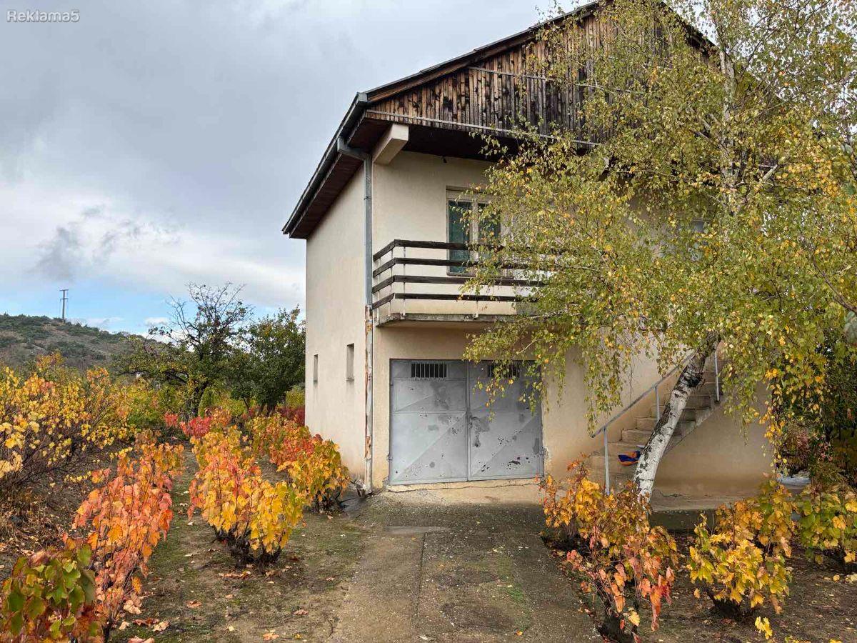 For sale: Plot with vineyard and house - Stopanski Dvor, Skopje
