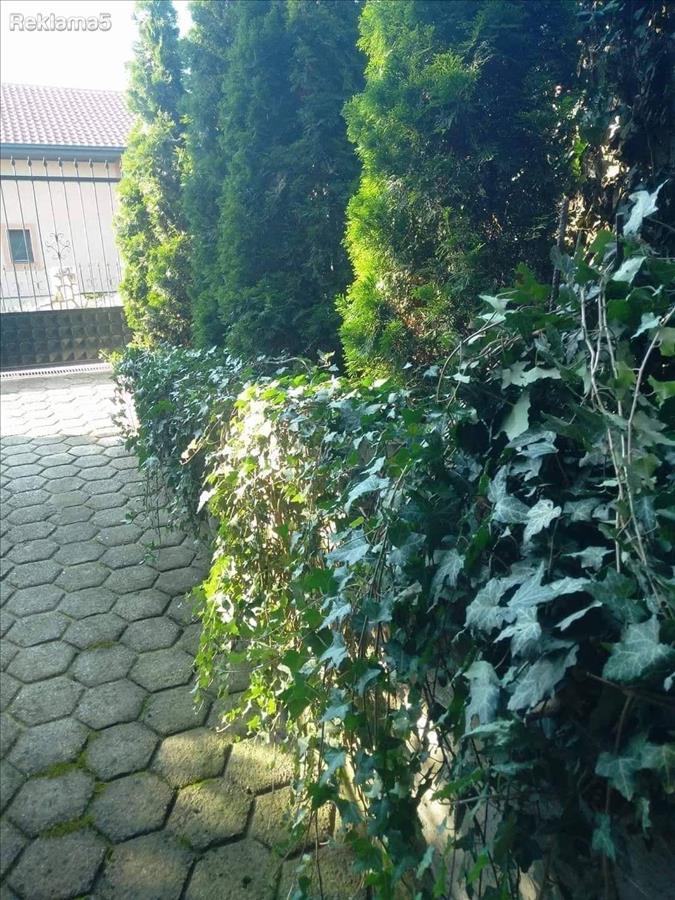 HIT-THREE-ROOM FURNISHED APARTMENT-FLOOR OF A HOUSE