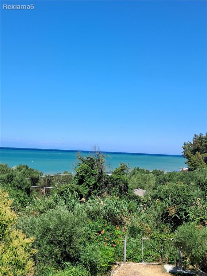 Apartment in Skala Fourka Halkidiki Greece