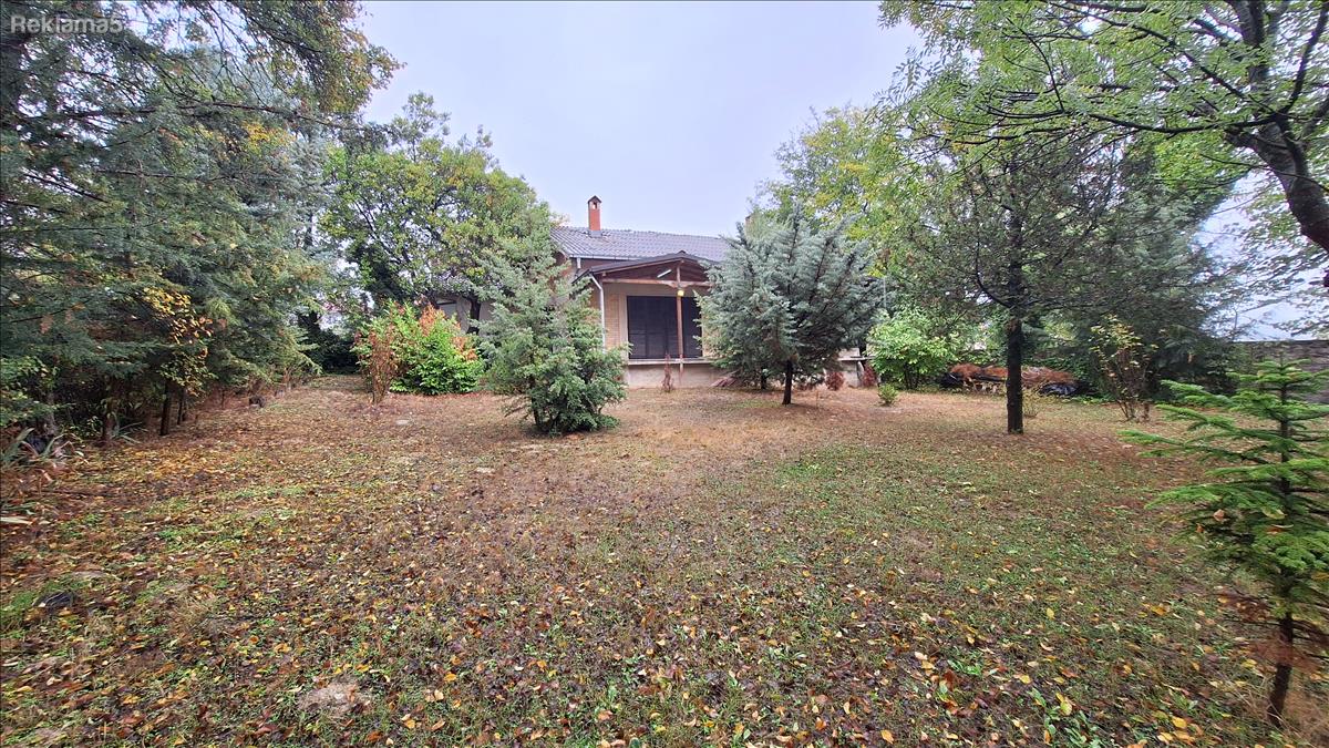 ATTRACTIVE HOUSE WITH LARGE YARD - v. OH MY GOD