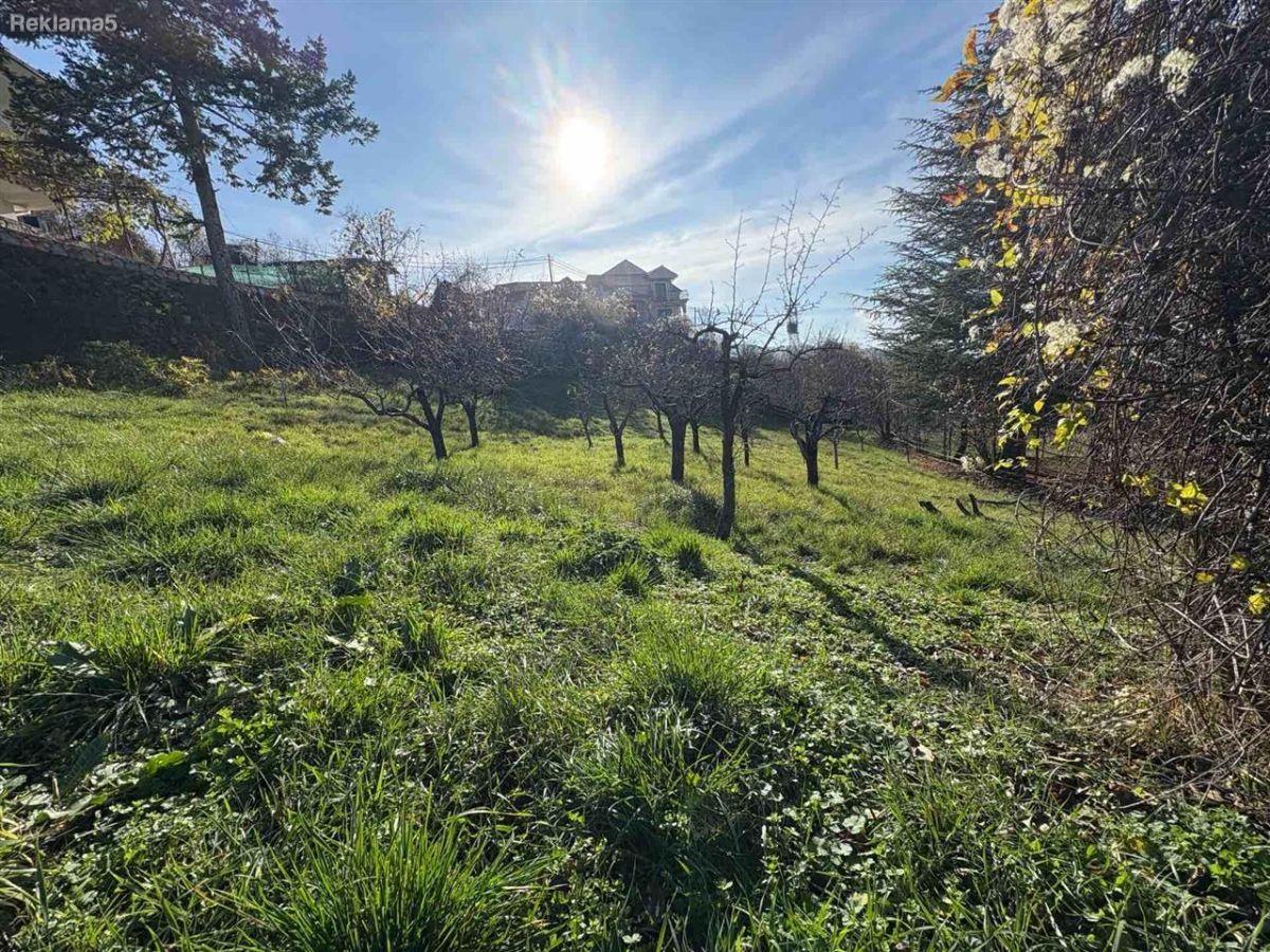 PLOT FOR SALE IN VELESTOVO, OHRID