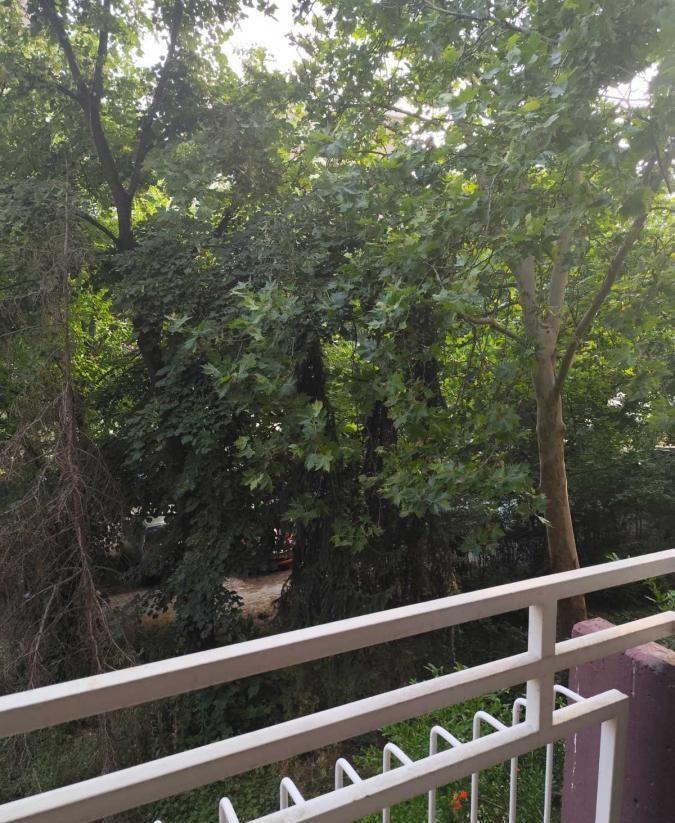 SALE OF AN APARTMENT – AIRPORT
