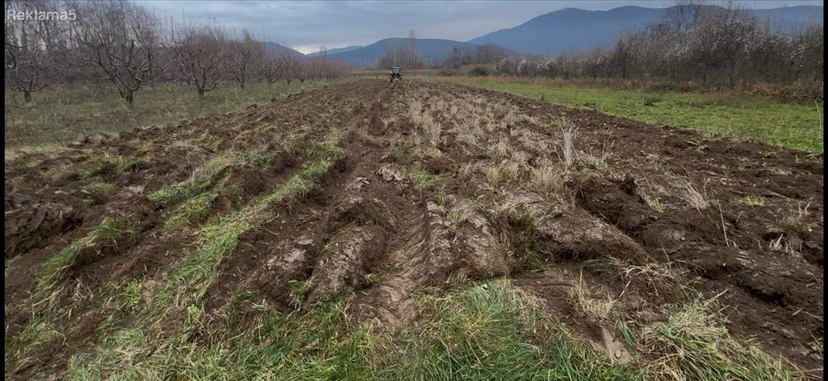 Niva vo gorno Lakocerej Ohrid