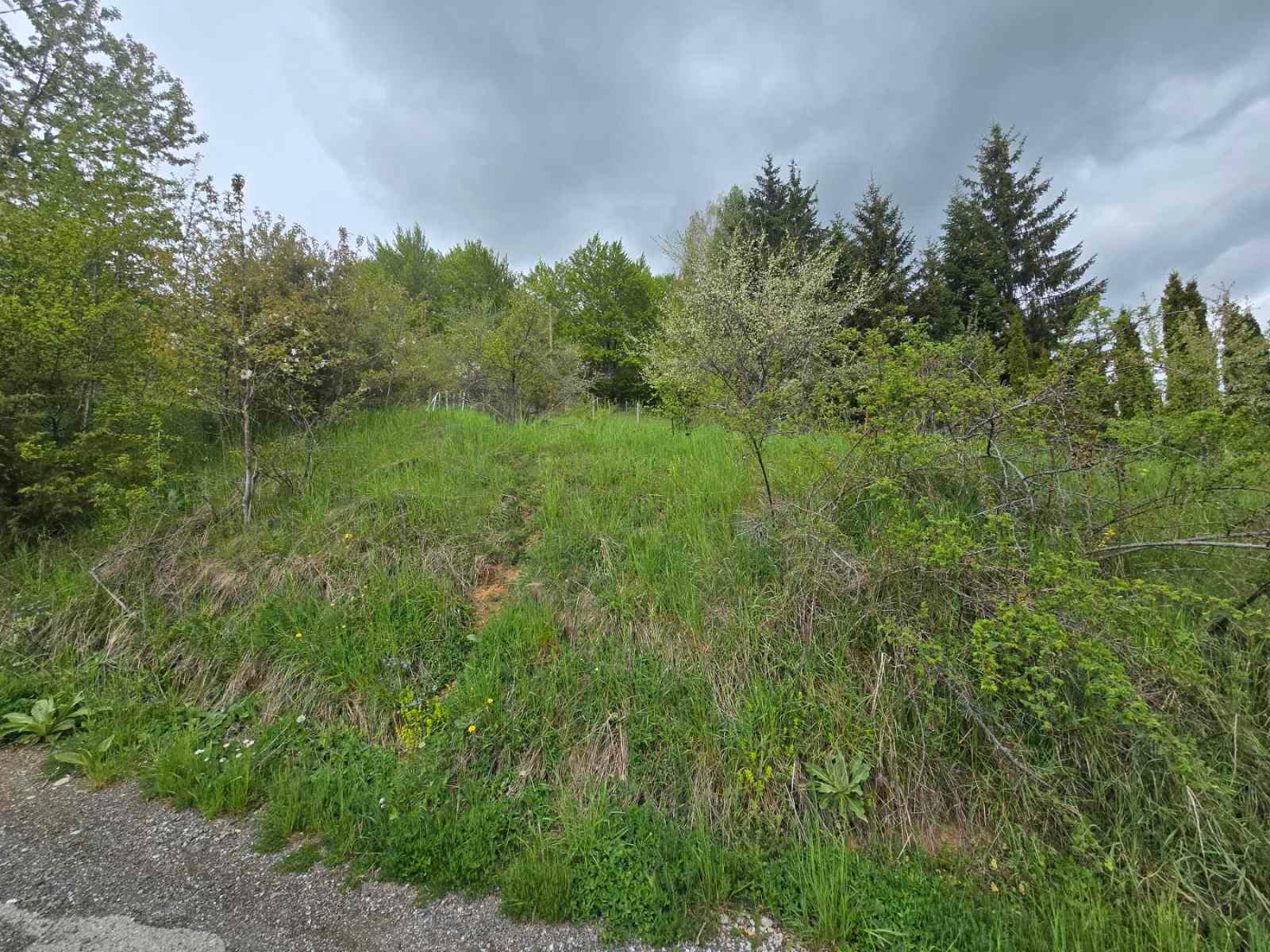 SAVIĆ IS SELLING A PLOT IN MAVROVO