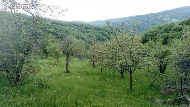 Real estate in the village of Luke (kolibska mala), Kriva Palanka.