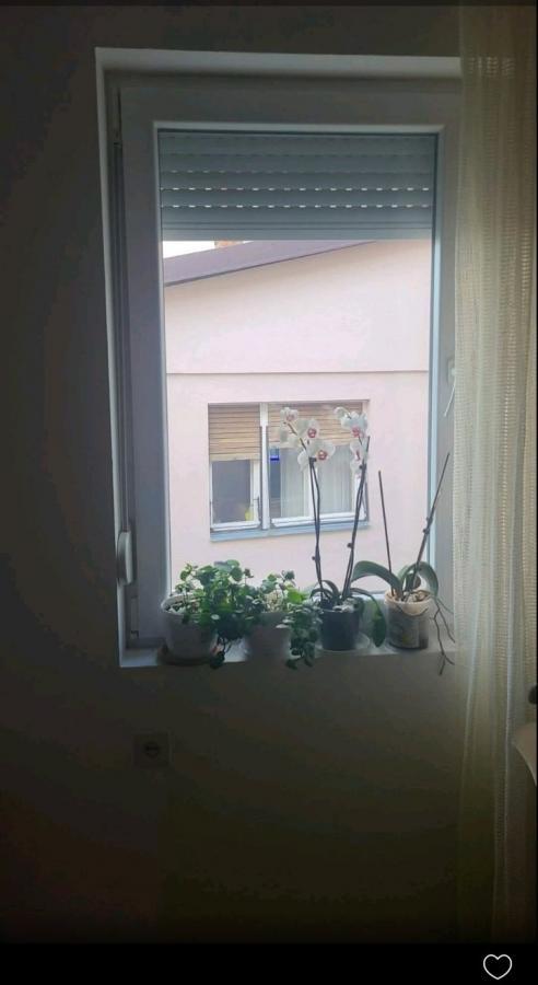 Apartment for sale in a house of 51 m2 in Zhdanec-Karpos