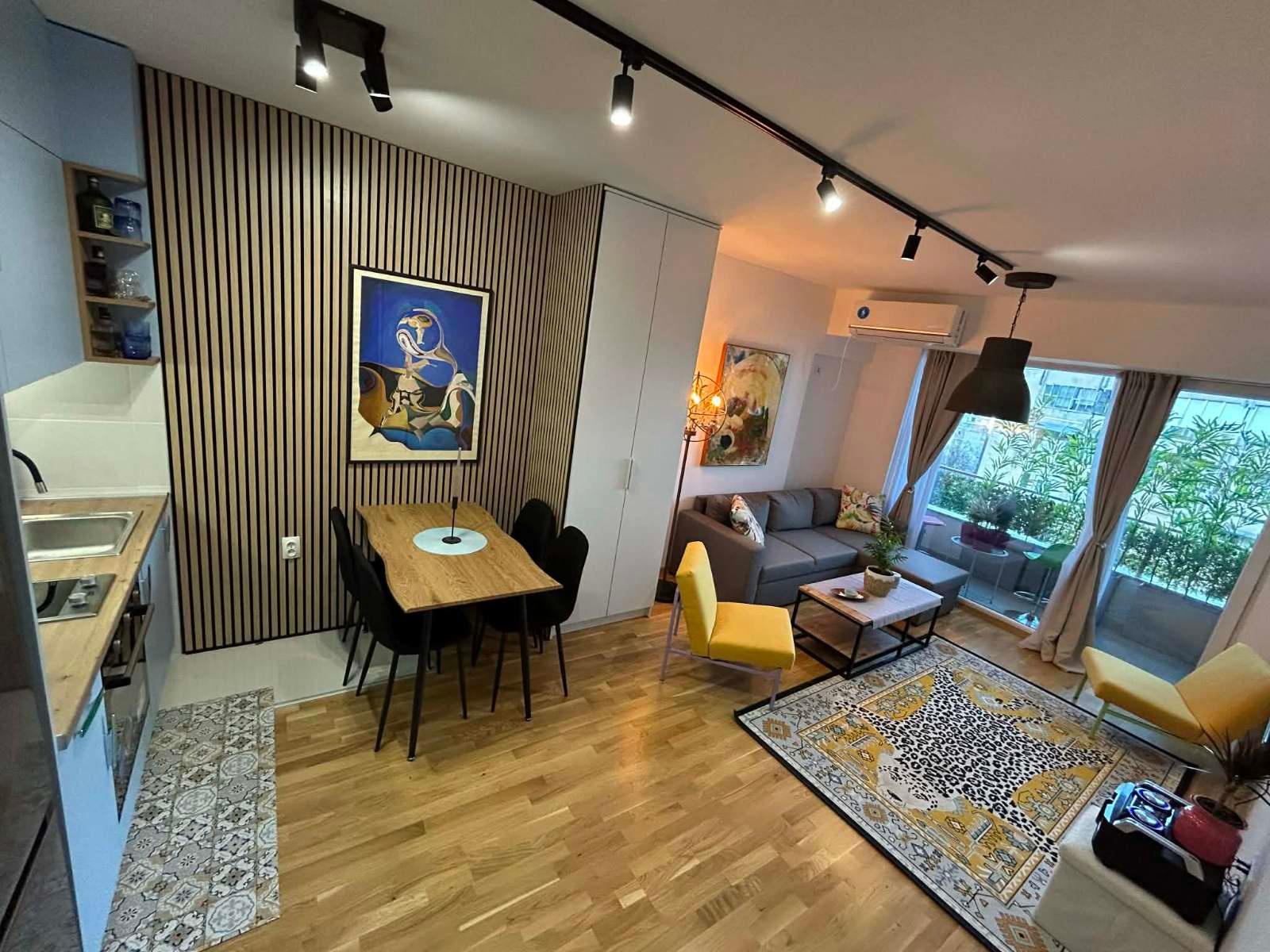 SAVIC IS RENTING A STUDIO APARTMENT IN ACID WATER