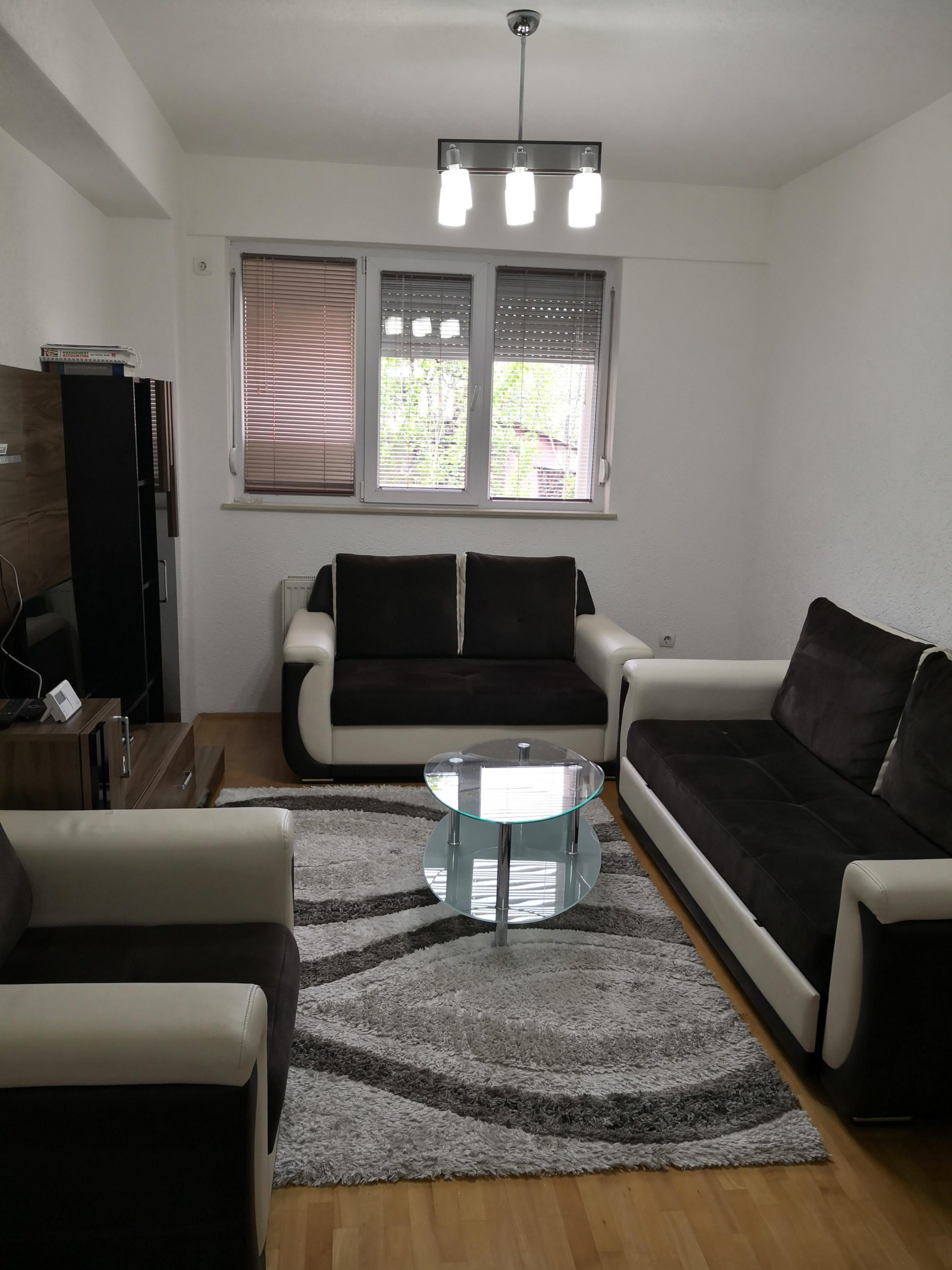 Furnished apartment for rent in the Tinex Mlechen building