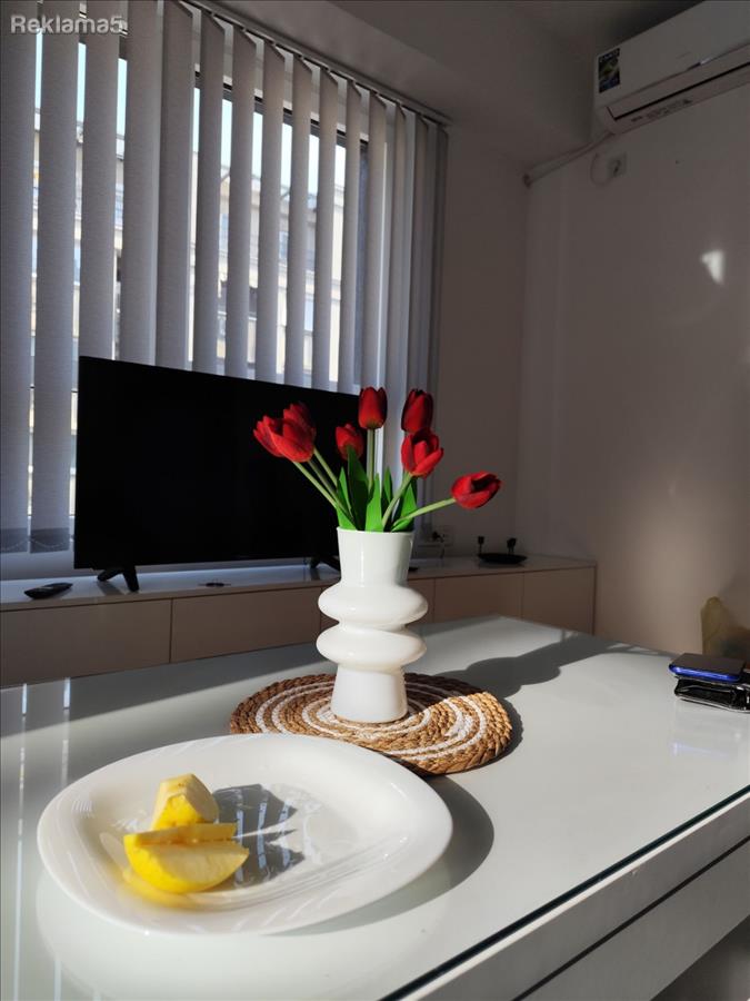 Dharma Doma rents out a new apartment in the Airport!