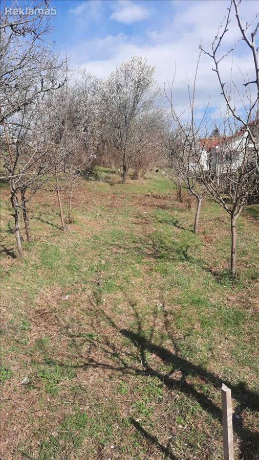 PRODAVAM PLAC VO DOLNO SONJE