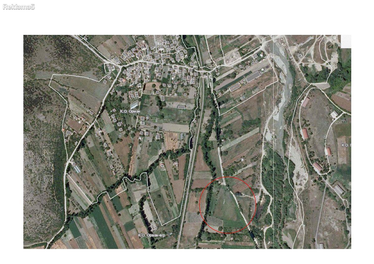 Niva vo s. Orman