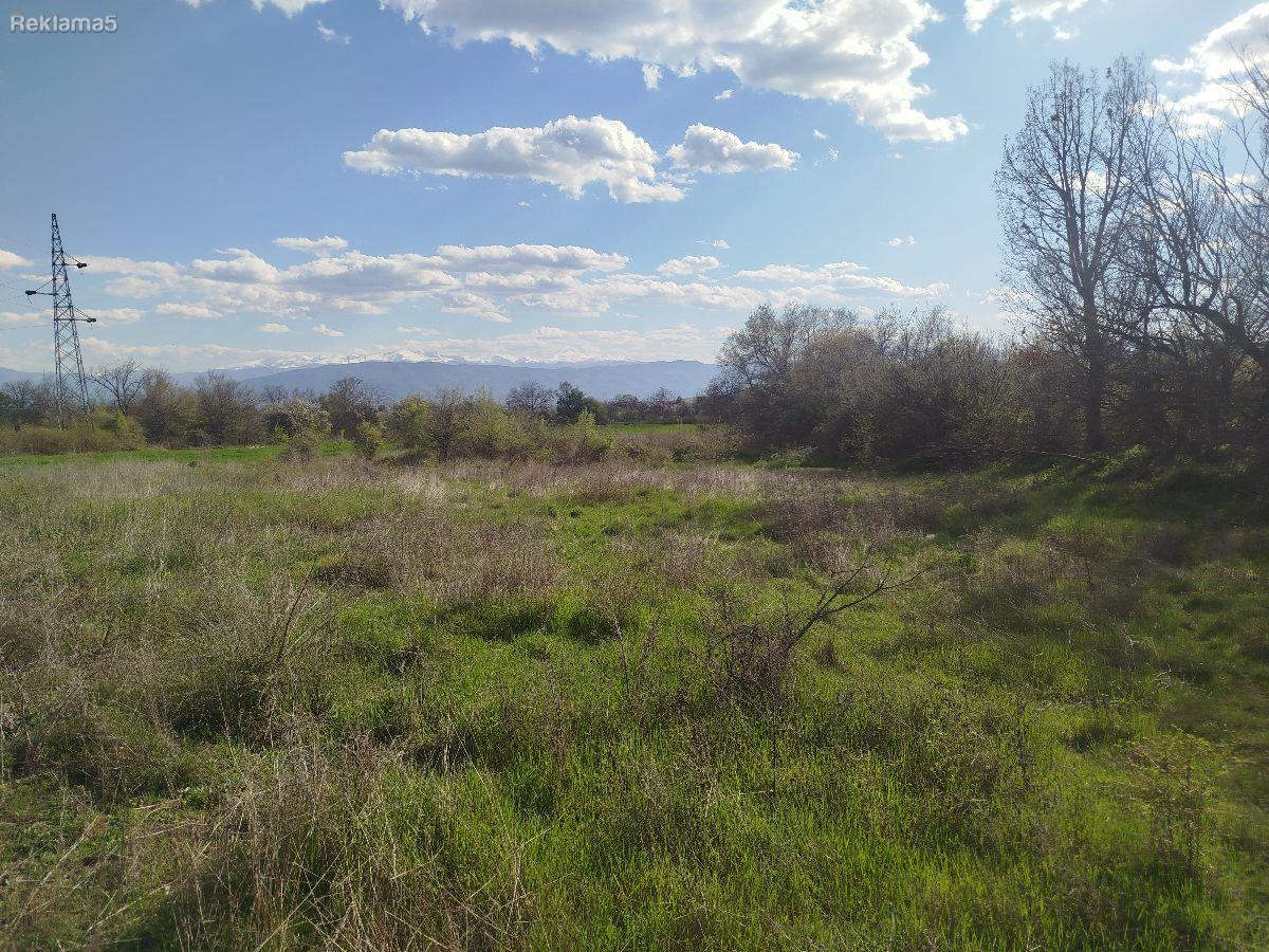 I am selling a field in Mirkovci