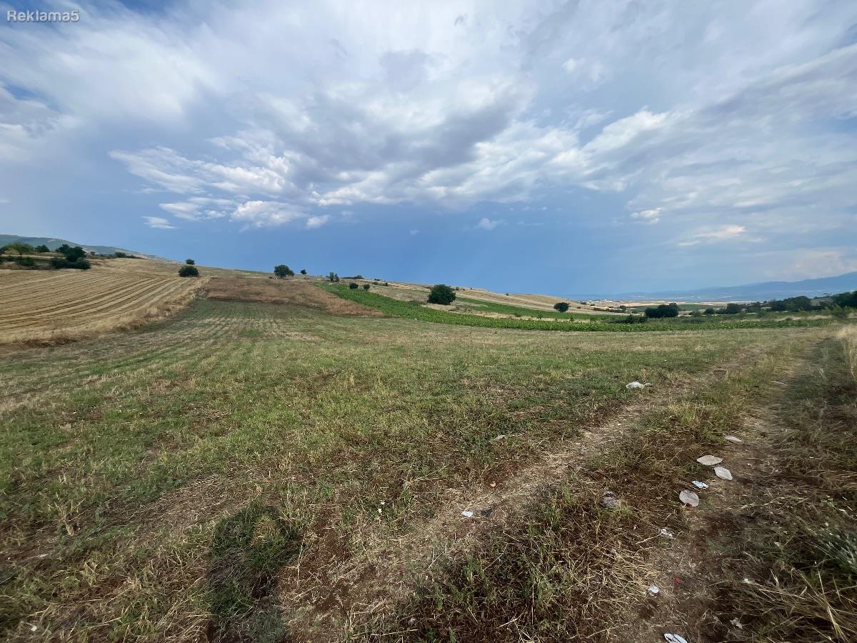 Se prodava niva vo butelski lozja