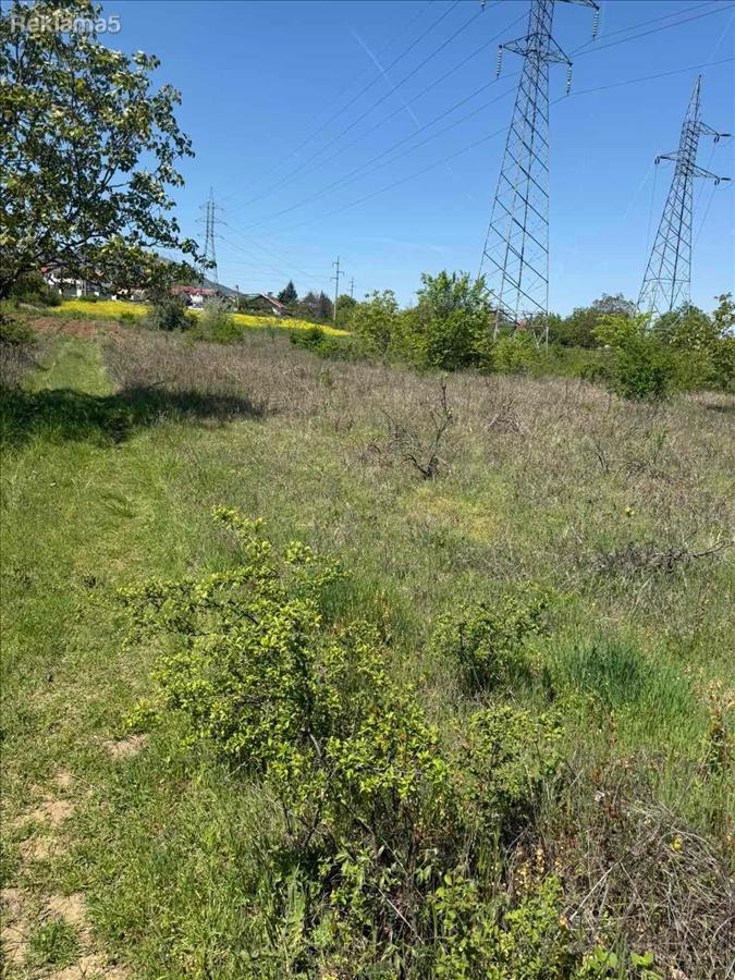 SAVIĆ IS SELLING A PLOT IN PINTIJA