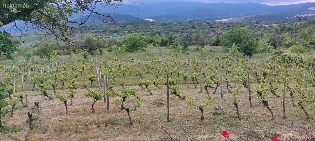 SAVIĆ IS SELLING A PLOT IN GORNO SONJE