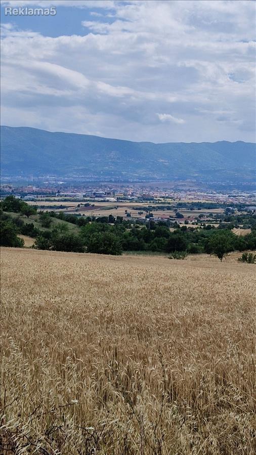 I am selling a plot of land in Radishani, 3181 m2, near the Equestrian Club!