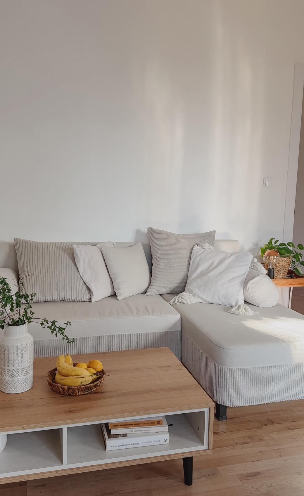 A renovated apartment of 70m² is for rent in Aerodrom