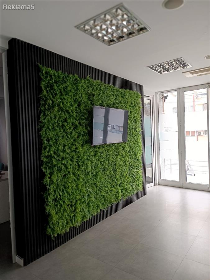 Business space of 311 m² on two levels with 5 parking spaces