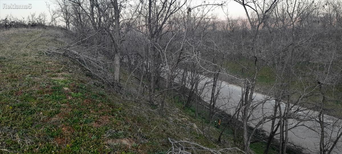 Izdavam lozje niva mesto javor prilepski pat odma do patot