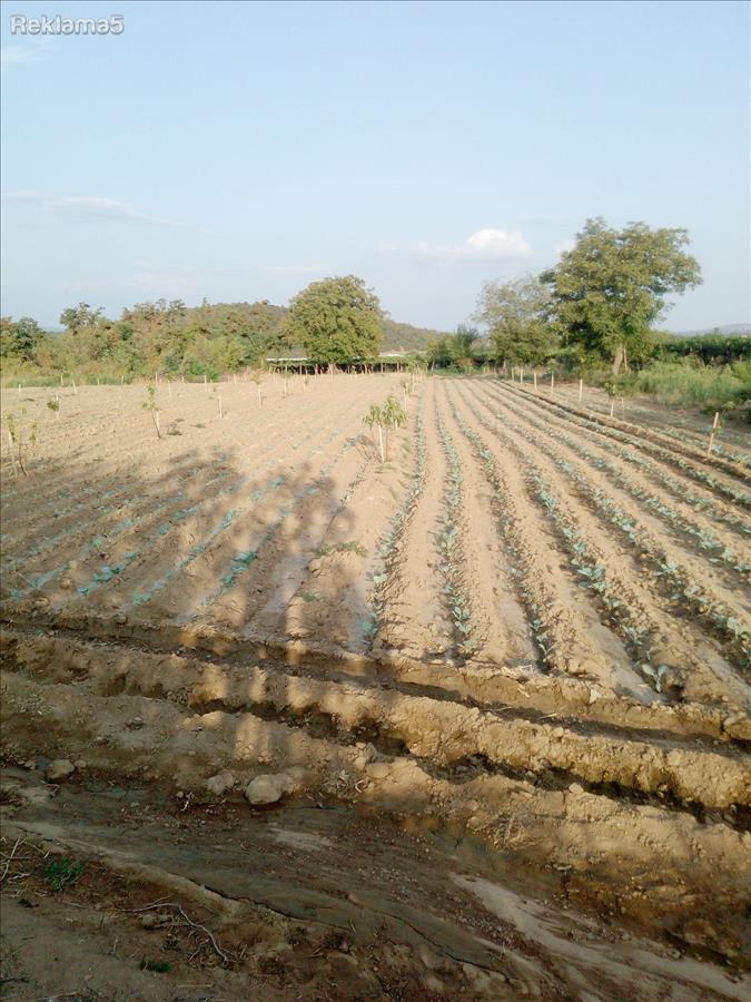 SE PRODAVA NIVA--5546 m2--
