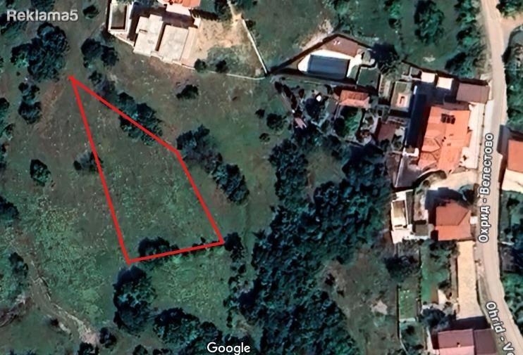 Velestovo niva