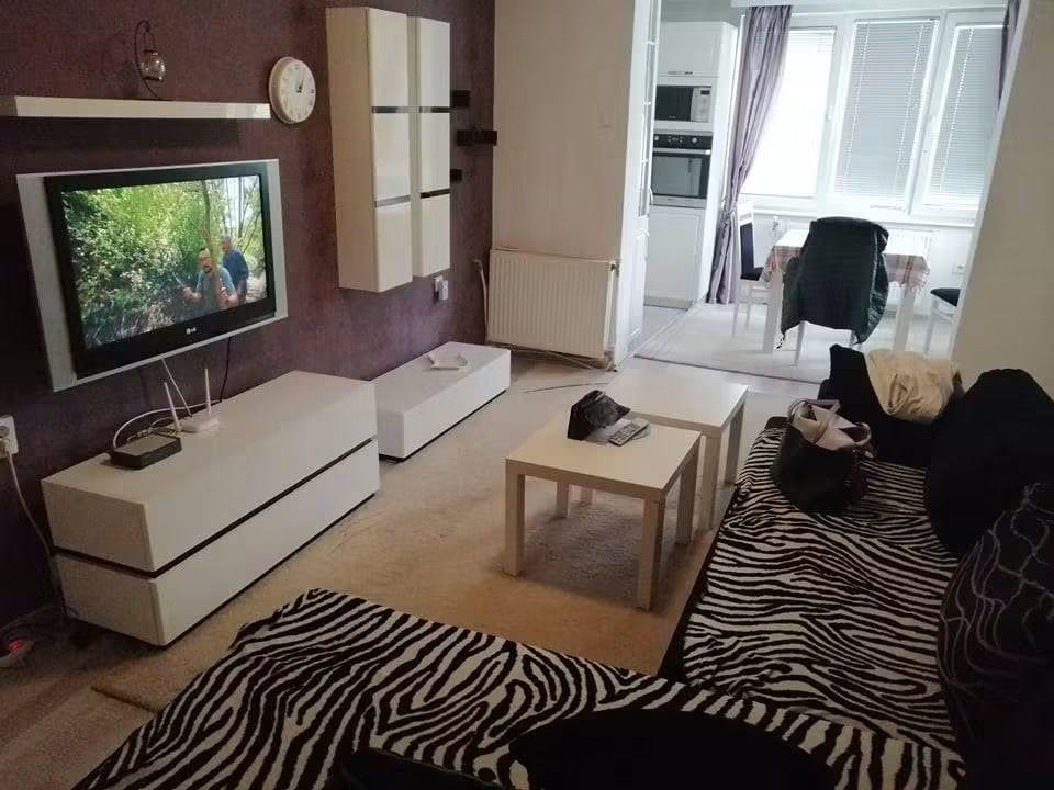 SAVIĆ IS SELLING AN APARTMENT IN KISELA VODA