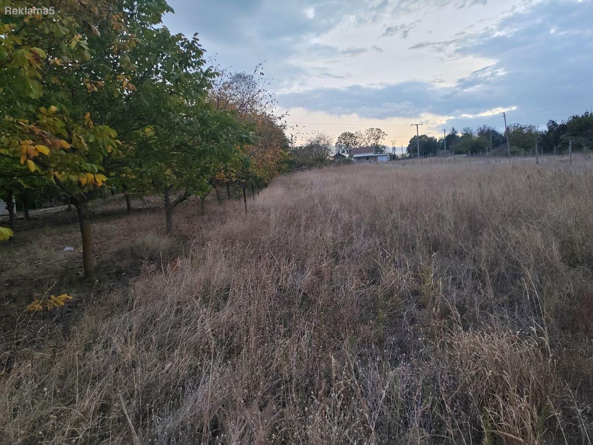 Plot for sale in Ristevo Trlo Kumanovo